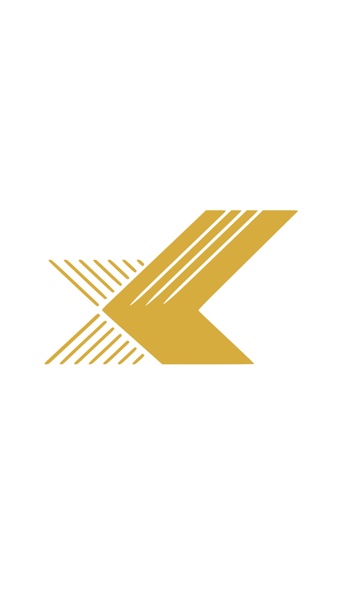 XL Interiors
